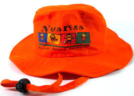 Topi