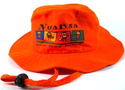 Topi